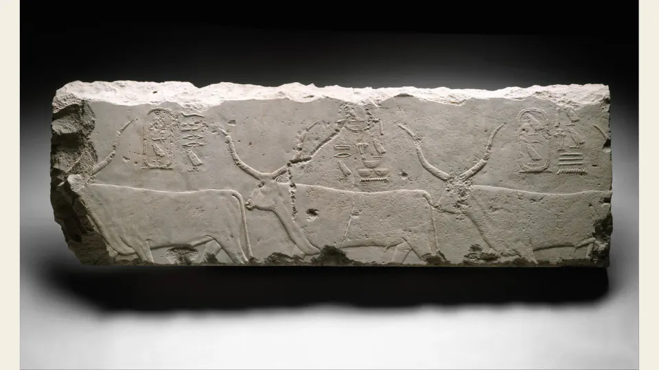 クフ王時代の三頭の牛が刻まれた石灰岩のレリーフ断片