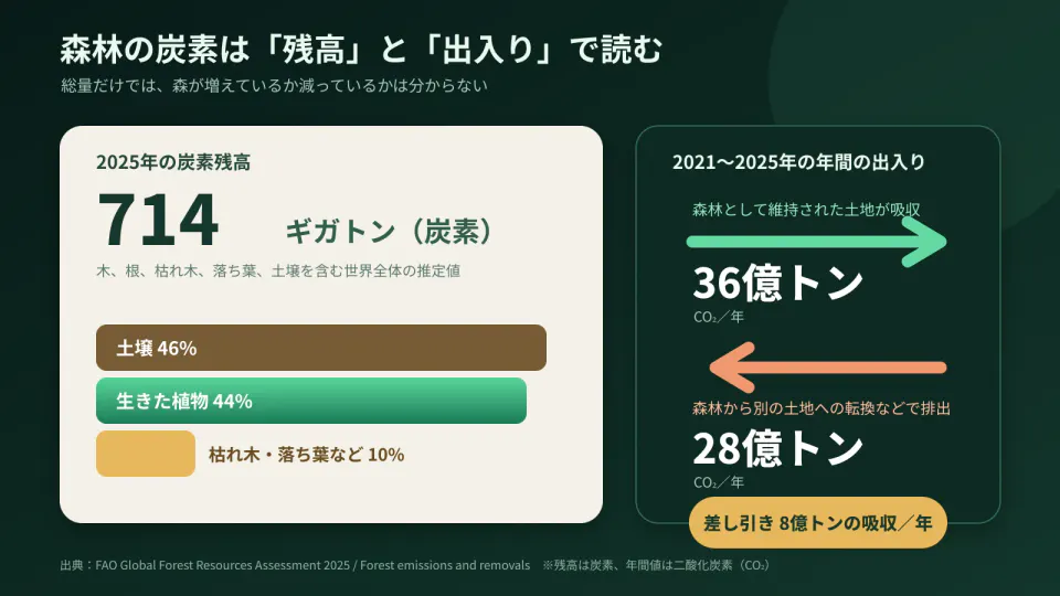 世界の森林が蓄える炭素714ギガトンの内訳と、2021〜2025年の年間吸収36億トン、土地転換などによる年間排出28億トン、差し引き8億トンの吸収を示した図
